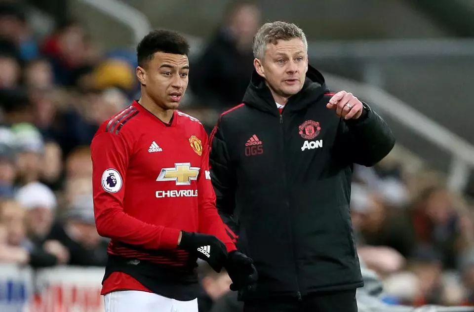 球队的整体 球队的整体